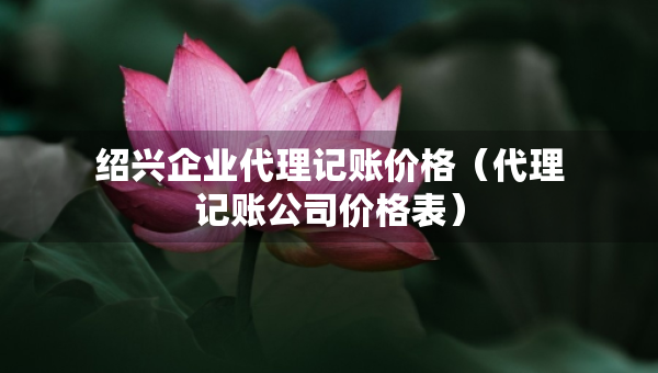 紹興企業(yè)代理記賬價格（代理記賬公司價格表）