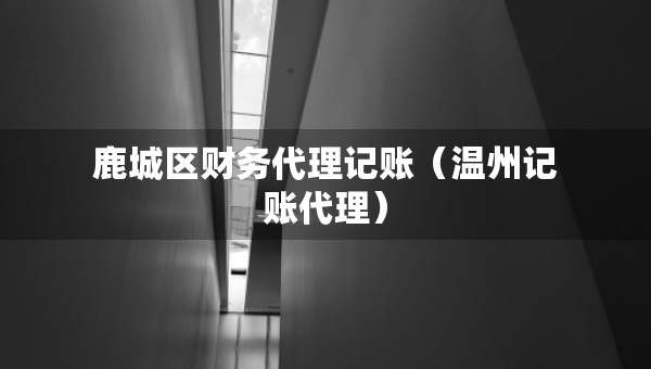 鹿城區(qū)財(cái)務(wù)代理記賬（溫州記賬代理）