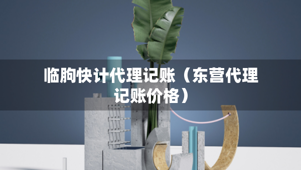 臨朐快計代理記賬（東營代理記賬價格）