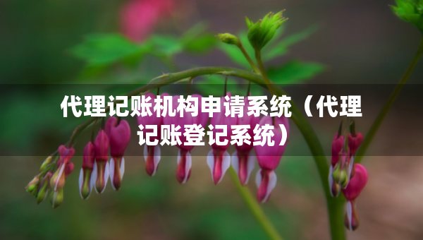 代理記賬機構(gòu)申請系統(tǒng)（代理記賬登記系統(tǒng)）