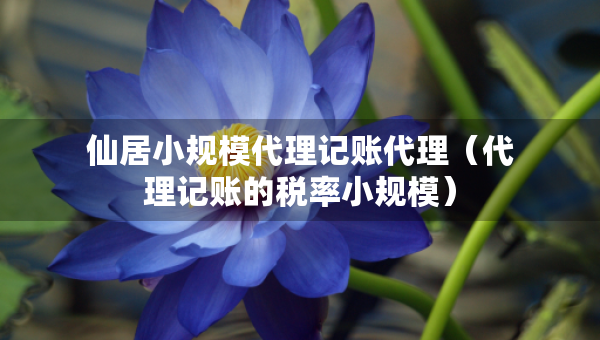 仙居小規(guī)模代理記賬代理（代理記賬的稅率小規(guī)模）