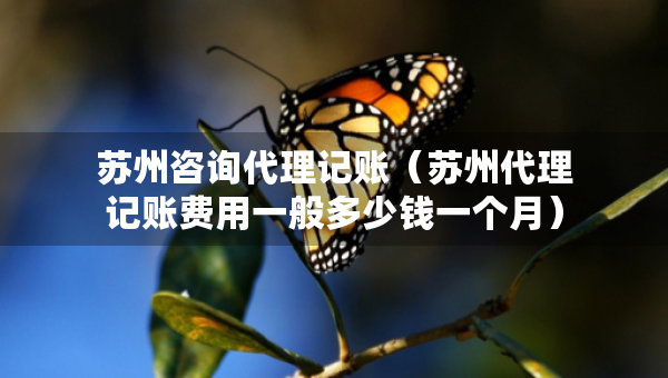 蘇州咨詢代理記賬（蘇州代理記賬費用一般多少錢一個月）