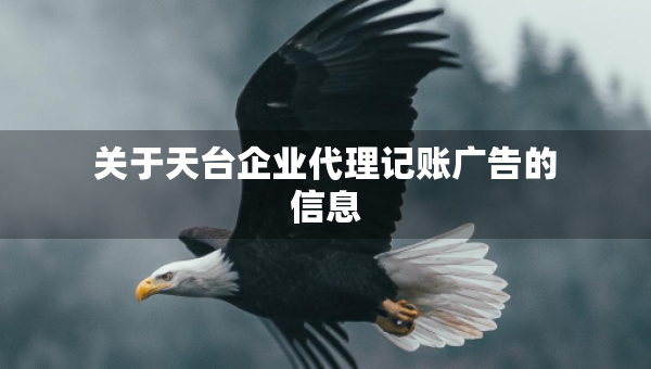關(guān)于天臺企業(yè)代理記賬廣告的信息