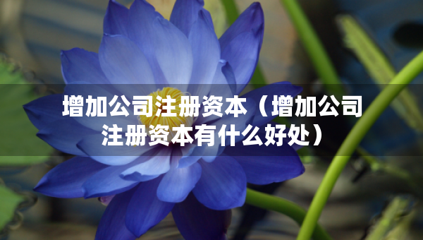 增加公司注冊資本（增加公司注冊資本有什么好處）