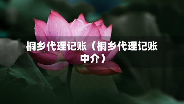 桐鄉(xiāng)代理記賬（桐鄉(xiāng)代理記賬中介）