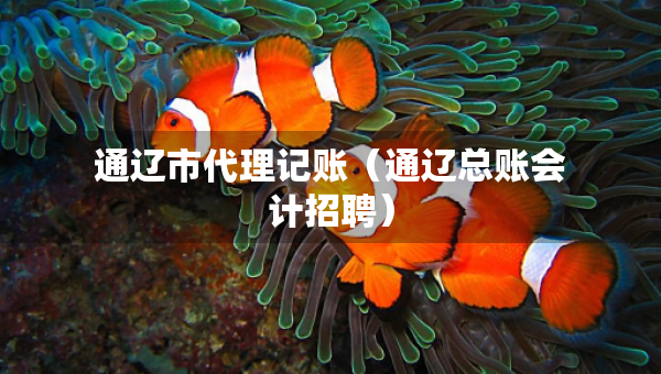 通遼市代理記賬（通遼總賬會(huì)計(jì)招聘）
