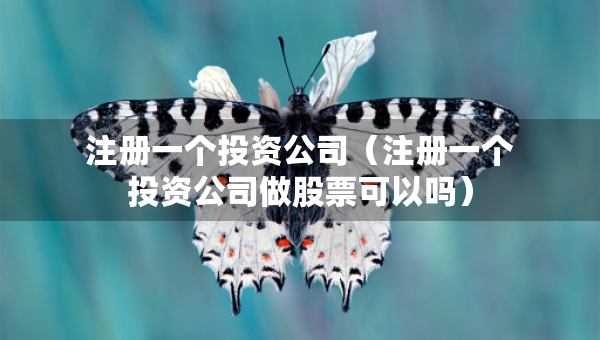 注冊(cè)一個(gè)投資公司（注冊(cè)一個(gè)投資公司做股票可以嗎）