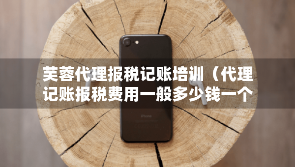 芙蓉代理報稅記賬培訓（代理記賬報稅費用一般多少錢一個月）