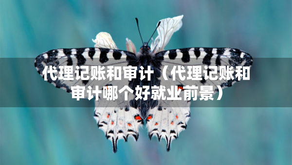 代理記賬和審計(jì)（代理記賬和審計(jì)哪個(gè)好就業(yè)前景）