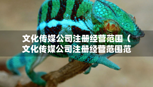 文化傳媒公司注冊(cè)經(jīng)營(yíng)范圍（文化傳媒公司注冊(cè)經(jīng)營(yíng)范圍范本）