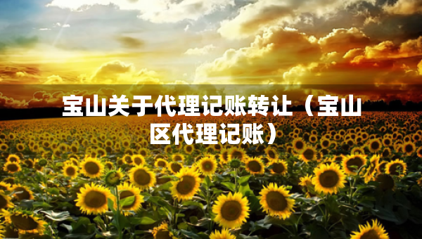 寶山關(guān)于代理記賬轉(zhuǎn)讓（寶山區(qū)代理記賬）