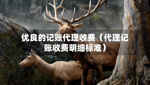 優(yōu)良的記賬代理收費(fèi)（代理記賬收費(fèi)明細(xì)標(biāo)準(zhǔn)）