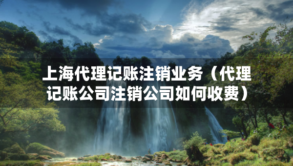 上海代理記賬注銷(xiāo)業(yè)務(wù)（代理記賬公司注銷(xiāo)公司如何收費(fèi)）