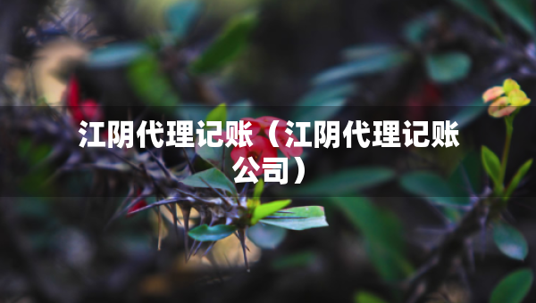 江陰代理記賬（江陰代理記賬公司）