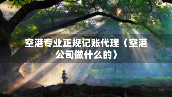 空港專業(yè)正規(guī)記賬代理（空港公司做什么的）
