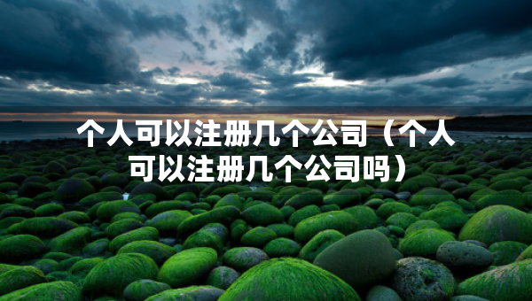 個人可以注冊幾個公司（個人可以注冊幾個公司嗎）