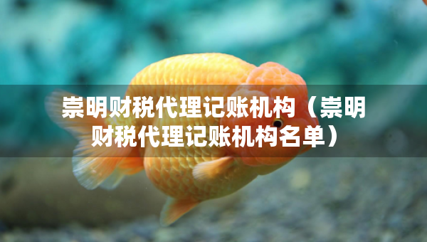 崇明財(cái)稅代理記賬機(jī)構(gòu)（崇明財(cái)稅代理記賬機(jī)構(gòu)名單）