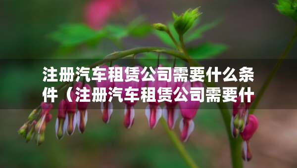 注冊(cè)汽車租賃公司需要什么條件（注冊(cè)汽車租賃公司需要什么條件及多少費(fèi)用）