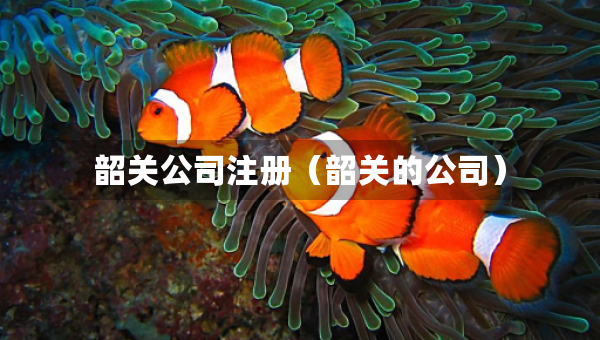 韶關公司注冊（韶關的公司）