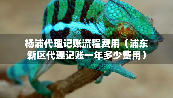 楊浦代理記賬流程費用（浦東新區(qū)代理記賬一年多少費用）