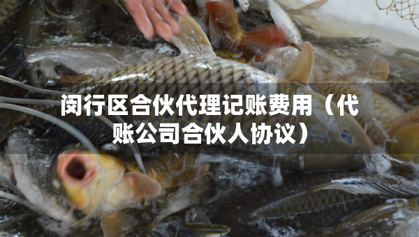 閔行區(qū)合伙代理記賬費(fèi)用（代賬公司合伙人協(xié)議）