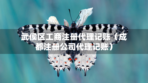 武侯區(qū)工商注冊(cè)代理記賬（成都注冊(cè)公司代理記賬）