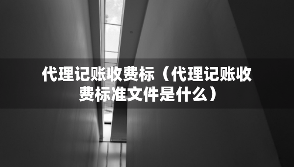 代理記賬收費(fèi)標(biāo)（代理記賬收費(fèi)標(biāo)準(zhǔn)文件是什么）