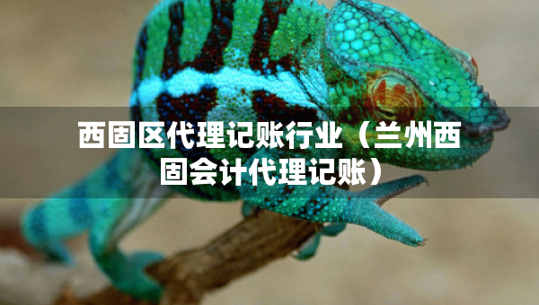 西固區(qū)代理記賬行業(yè)（蘭州西固會(huì)計(jì)代理記賬）