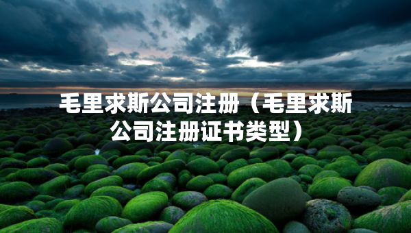 毛里求斯公司注冊（毛里求斯公司注冊證書類型）
