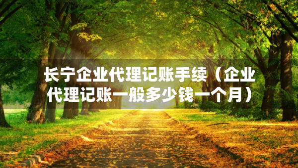 長(zhǎng)寧企業(yè)代理記賬手續(xù)（企業(yè)代理記賬一般多少錢一個(gè)月）