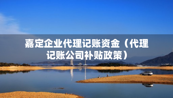 嘉定企業(yè)代理記賬資金（代理記賬公司補(bǔ)貼政策）