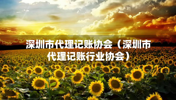深圳市代理記賬協(xié)會（深圳市代理記賬行業(yè)協(xié)會）