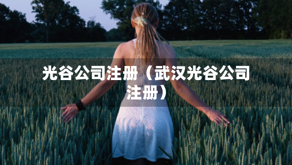 光谷公司注冊（武漢光谷公司注冊）
