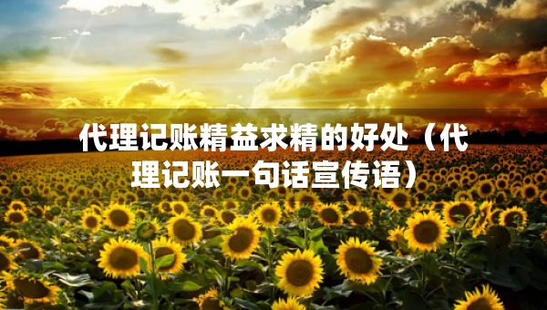 代理記賬精益求精的好處（代理記賬一句話宣傳語）