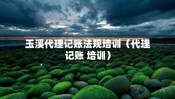 玉溪代理記賬法規(guī)培訓（代理記賬 培訓）