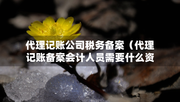 代理記賬公司稅務(wù)備案（代理記賬備案會(huì)計(jì)人員需要什么資料）
