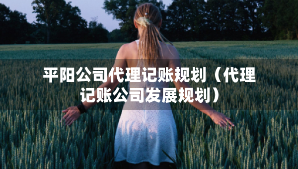 平陽公司代理記賬規(guī)劃（代理記賬公司發(fā)展規(guī)劃）