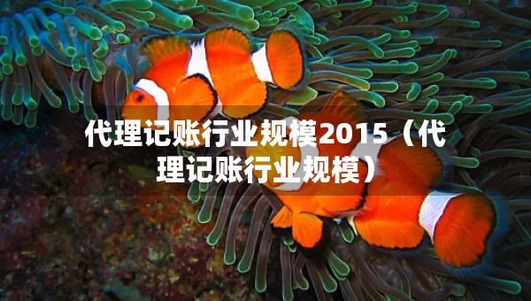 代理記賬行業(yè)規(guī)模2015（代理記賬行業(yè)規(guī)模）