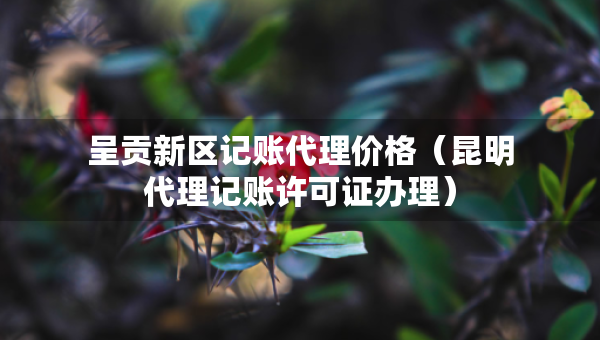 呈貢新區(qū)記賬代理價格（昆明代理記賬許可證辦理）