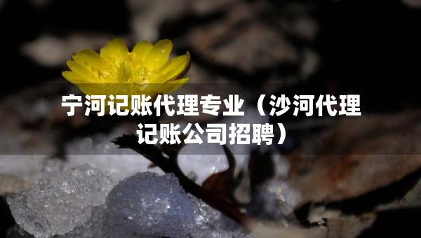 寧河記賬代理專業(yè)（沙河代理記賬公司招聘）