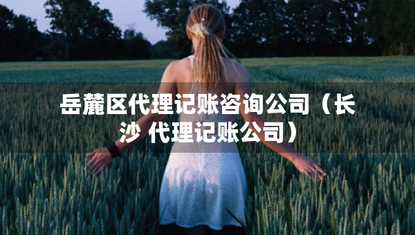 岳麓區(qū)代理記賬咨詢公司（長(zhǎng)沙 代理記賬公司）