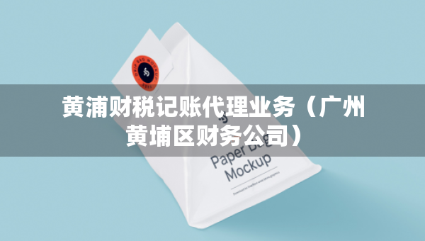 黃浦財稅記賬代理業(yè)務(wù)（廣州黃埔區(qū)財務(wù)公司）