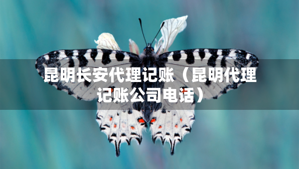 昆明長安代理記賬（昆明代理記賬公司電話）