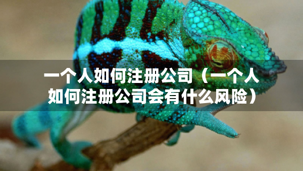 一個人如何注冊公司（一個人如何注冊公司會有什么風(fēng)險）
