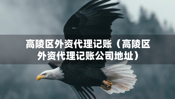 高陵區(qū)外資代理記賬（高陵區(qū)外資代理記賬公司地址）