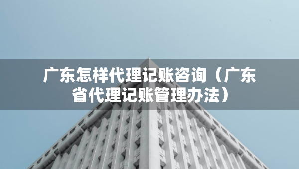 廣東怎樣代理記賬咨詢（廣東省代理記賬管理辦法）