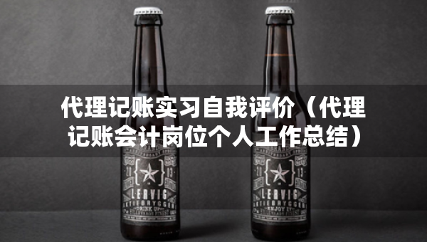 代理記賬實(shí)習(xí)自我評(píng)價(jià)（代理記賬會(huì)計(jì)崗位個(gè)人工作總結(jié)）