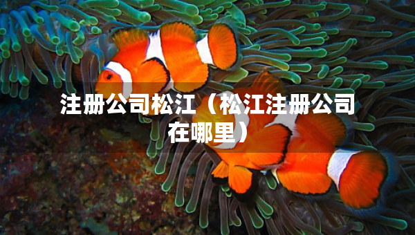 注冊公司松江（松江注冊公司在哪里）