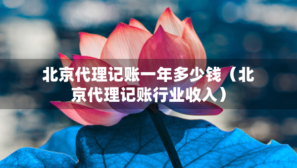 北京代理記賬一年多少錢（北京代理記賬行業(yè)收入）
