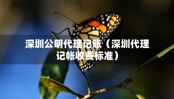 深圳公明代理記賬（深圳代理記帳收費(fèi)標(biāo)準(zhǔn)）